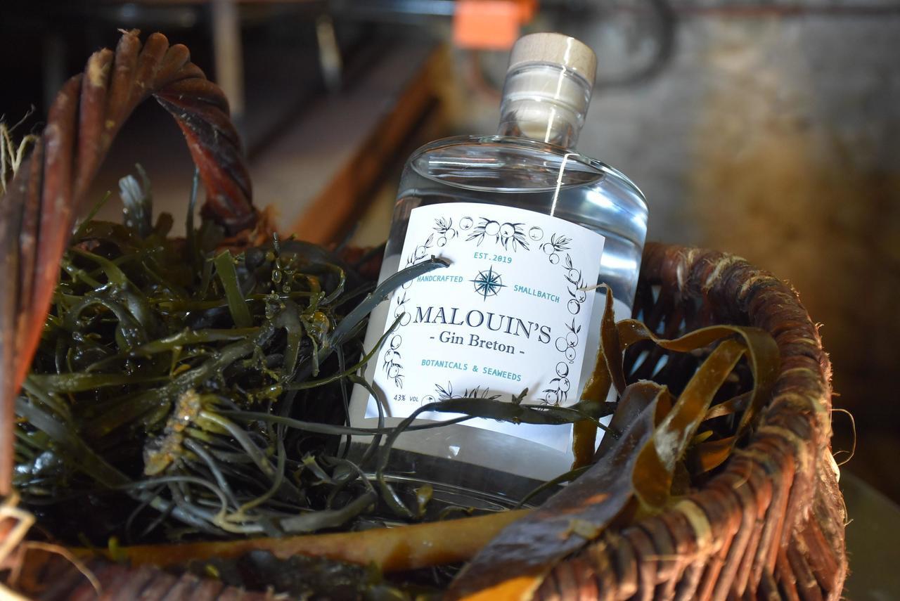 Gin Breton Malouins