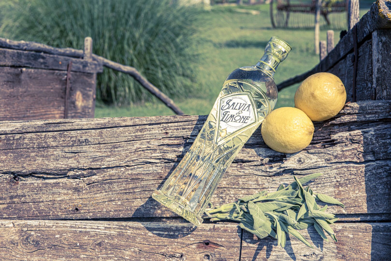 salvia y limone Liqueur