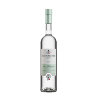 Renaissance vodka the a la menthe