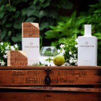 Adamus Dry Gin