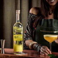 Gaya Cachaça