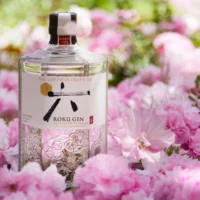 Roku Gin