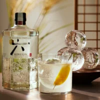 Roku GIn