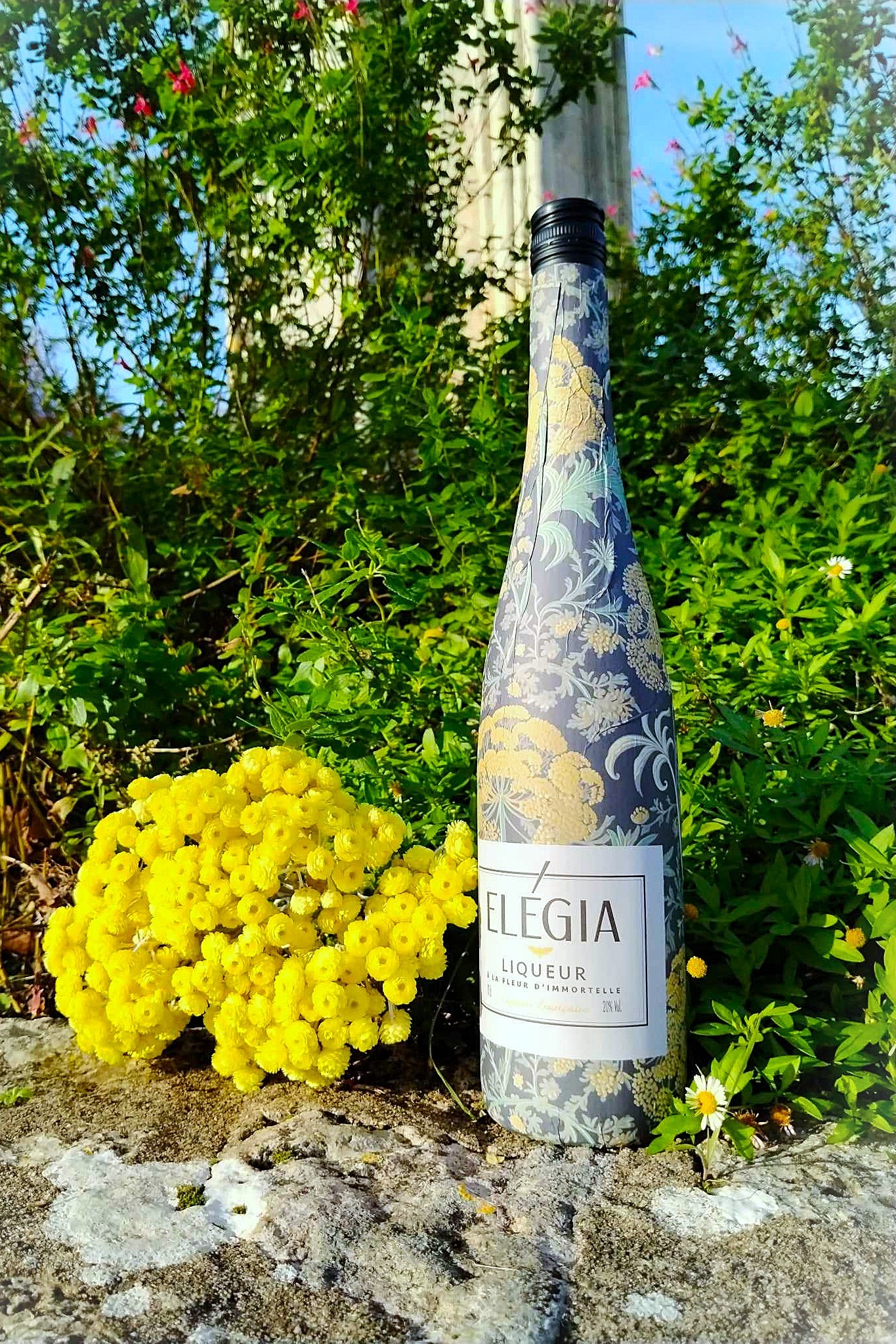 Eligia Liqueur Immortelle