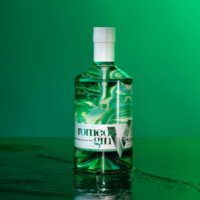 Romeo's V Gin