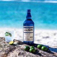 Okinawa gin
