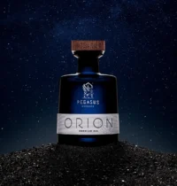 Pegasus Orion