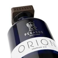 Pegasus Orion