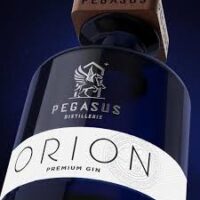 Pegasus Orion