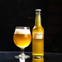Noam Beer